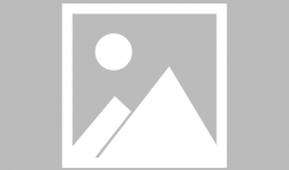 动漫成人在线观看,在线观看的激情之旅