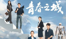 电视剧 青春,梦想与成长的交织之旅