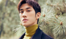 李治廷电视剧,宫廷风云中的传奇人生