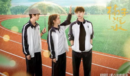 好看的爱情校园电视剧,甜蜜时光里的浪漫邂逅