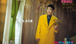 我是谁电视剧,揭秘身份之谜，探寻人生真相