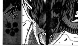 黑色五叶草动漫,魔法世界的青春传奇