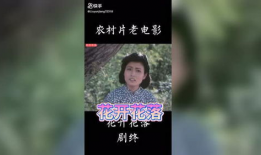 花开花落电视剧,岁月流转中的情感纠葛